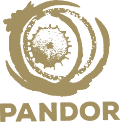 Pandor Jeugdzorg